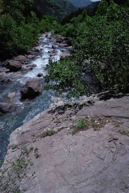 FONTCUBERTA Joan, "Hydropithèques", près de Digne-les-Bains, 2006